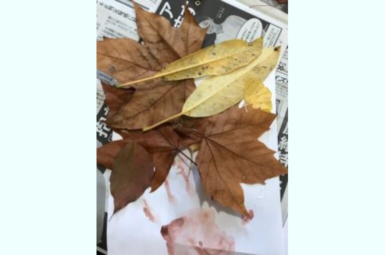 20181113_181113_0004-225x300