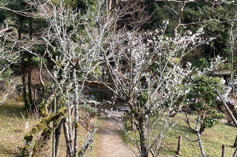 LINE_ALBUM_20230224_230224_5